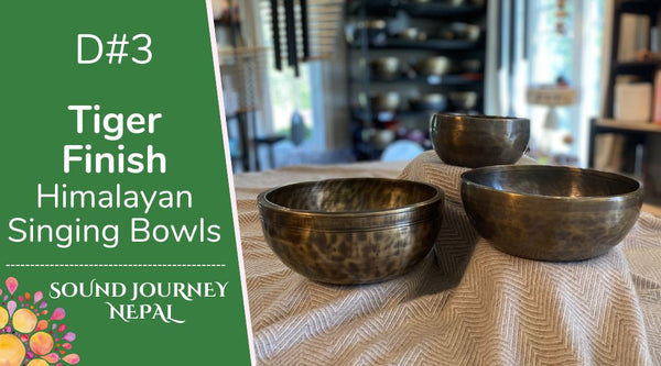D#3 Tiger Finish Himalayan Singing Bowls