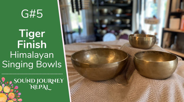 G#5 Tiger Finish Himalayan Singing Bowls